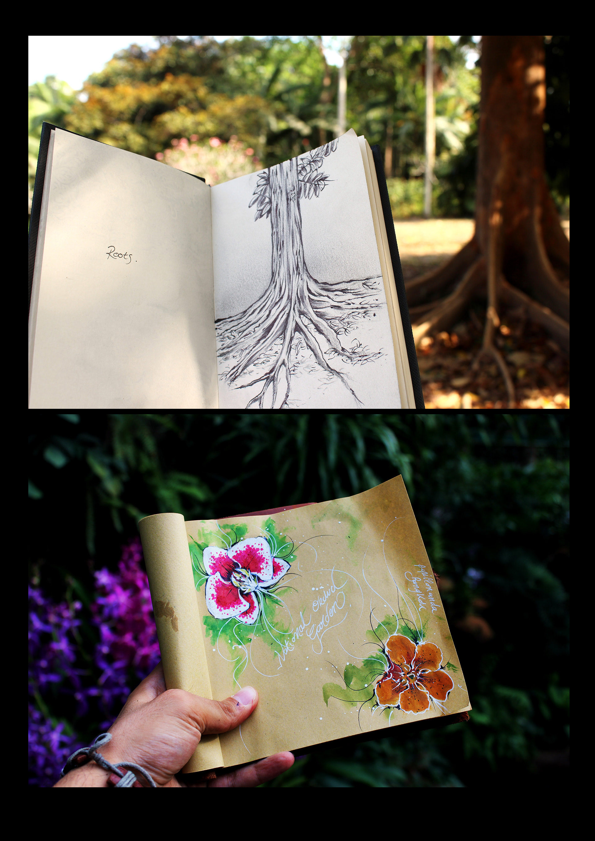 Nature (esquisses)