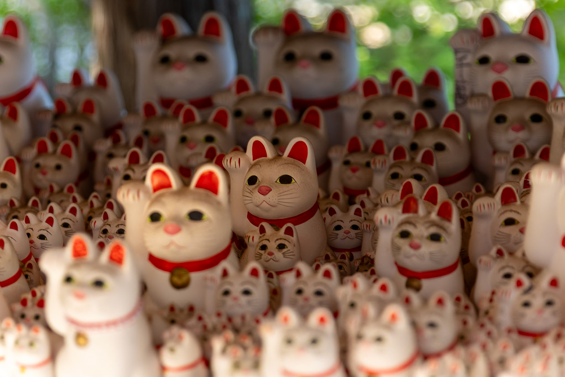 Gotokuji Temple / Tokyo