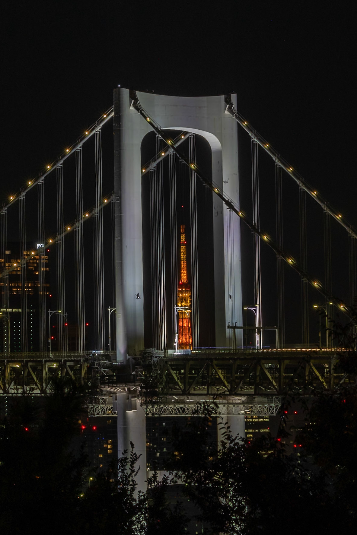 Rainbow Bridge with Tokyo Tower