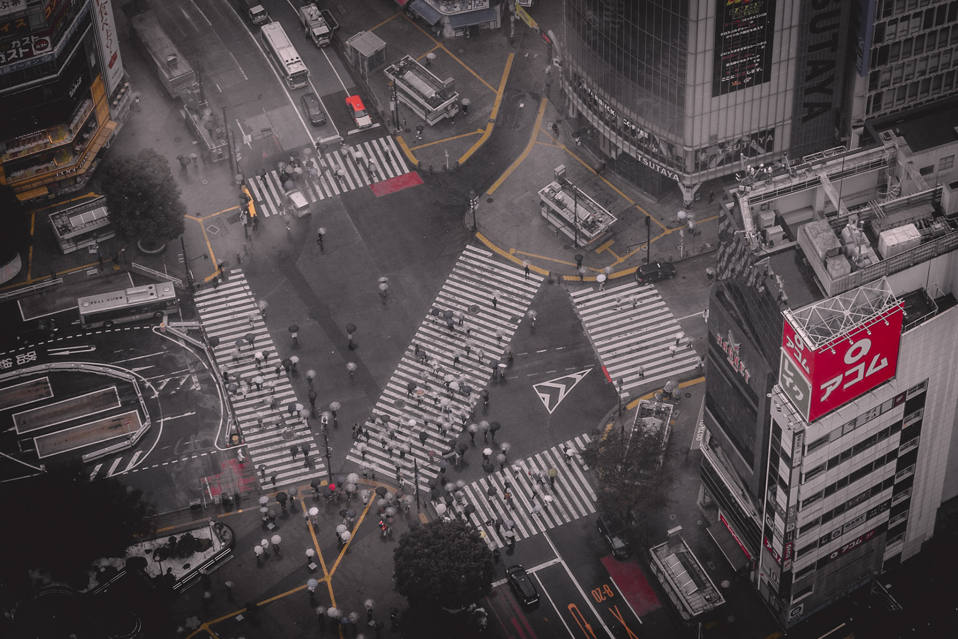 Shibuya Crossing 