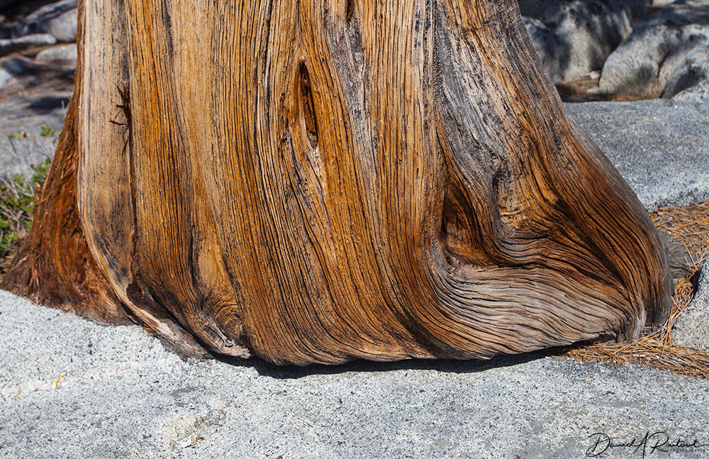 California - Granite yields, Yosemite