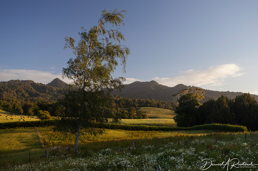 Maungatautari (Sanctuary Mountain)