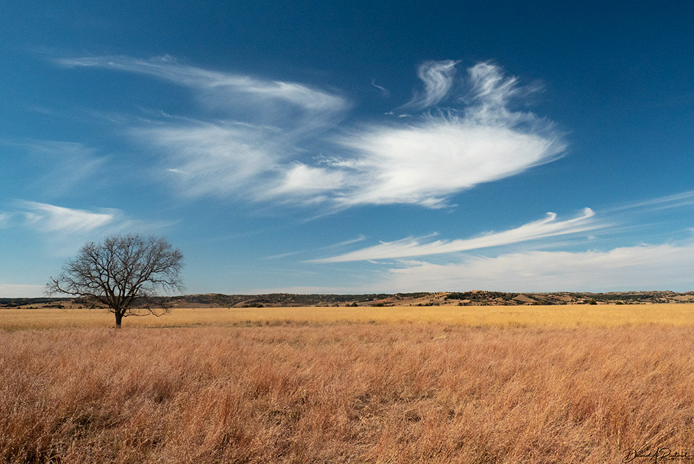 Nebraska - Sky and grass on the Hutton Ranch