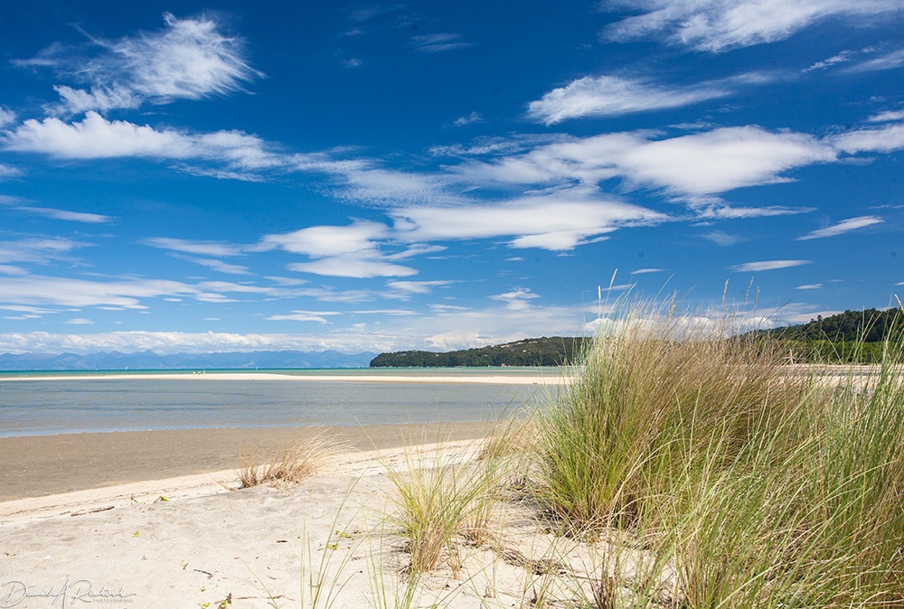Beach, South Island