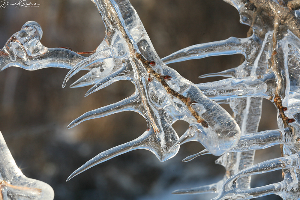 Kansas - Ice 1