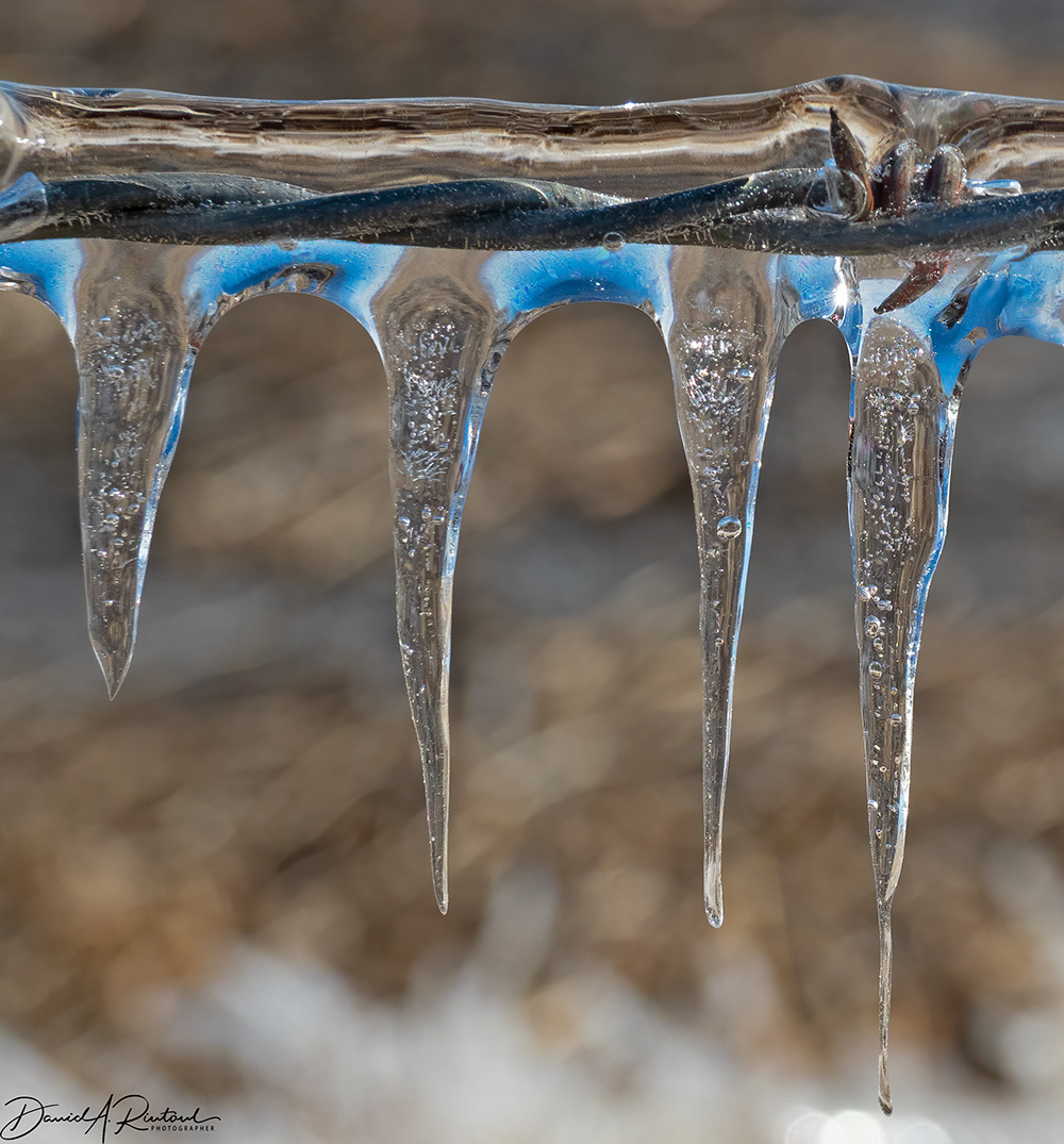 Ice and Barbed Wire - Lasita KS