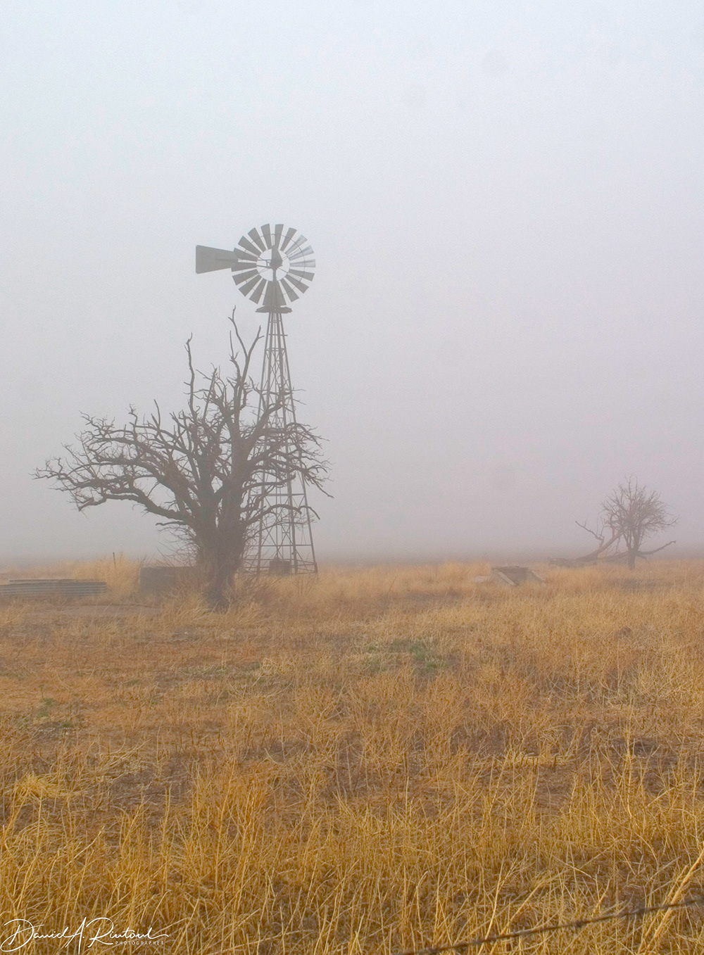 Texas - High Plains windmill in fog