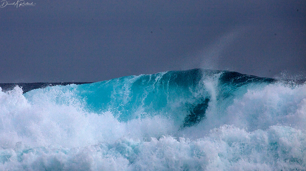 Galápagos - Waves 