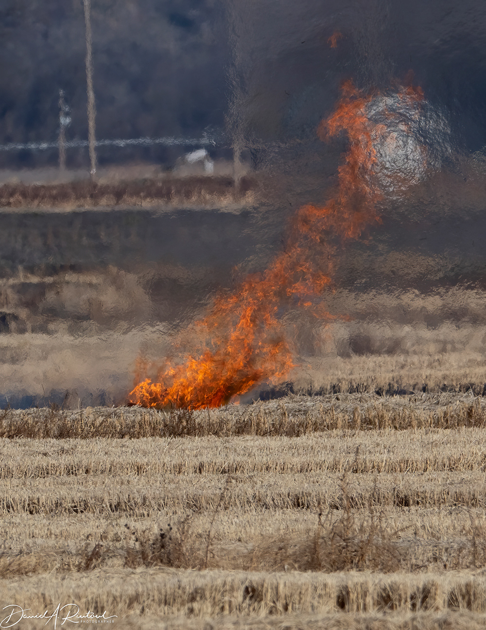 Kansas - Spring burn 1 