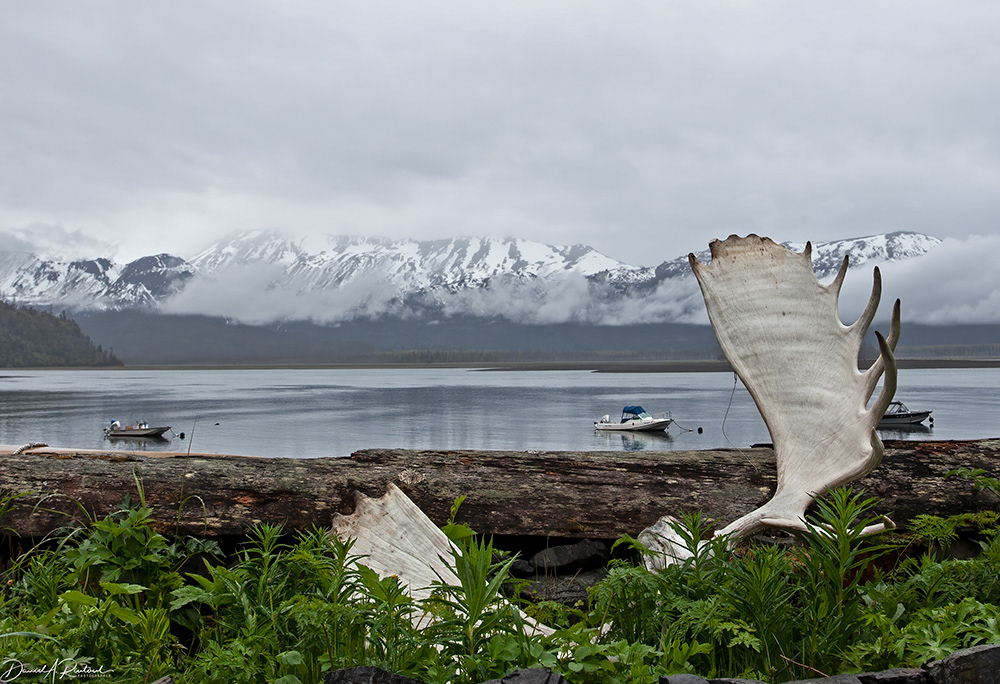 Alaska - Kachemak Bay