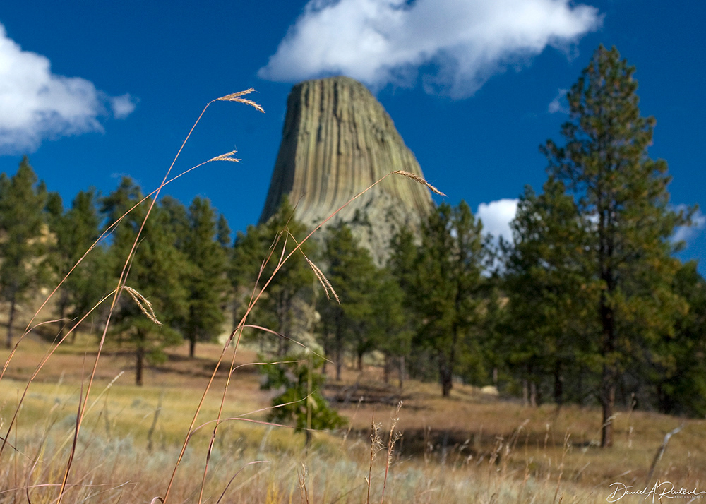 Wyoming - Bluestem and Devil's Tower