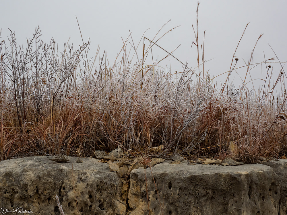Kansas - Flint Hills Hoarfrost