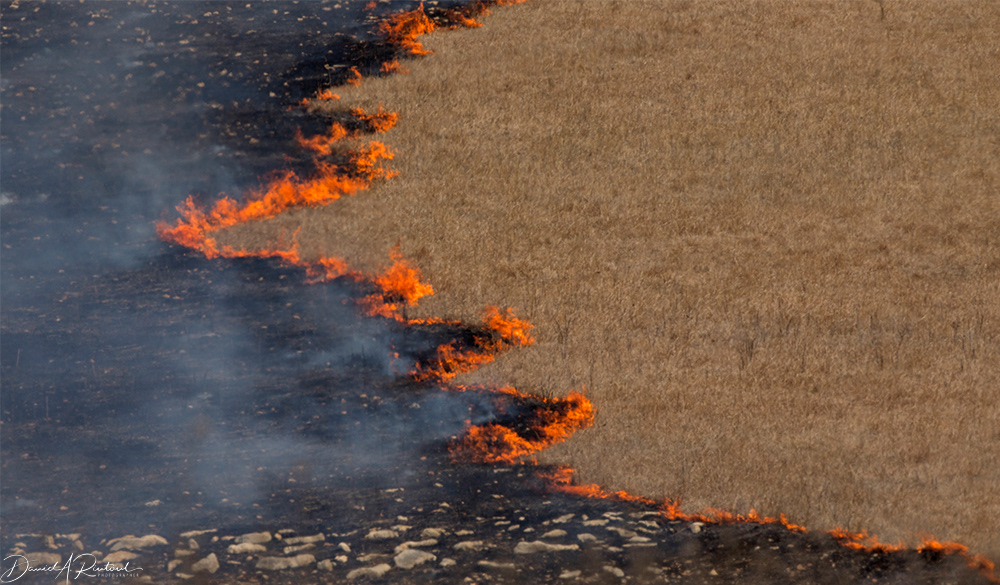 Kansas - Spring burn on the prairie 