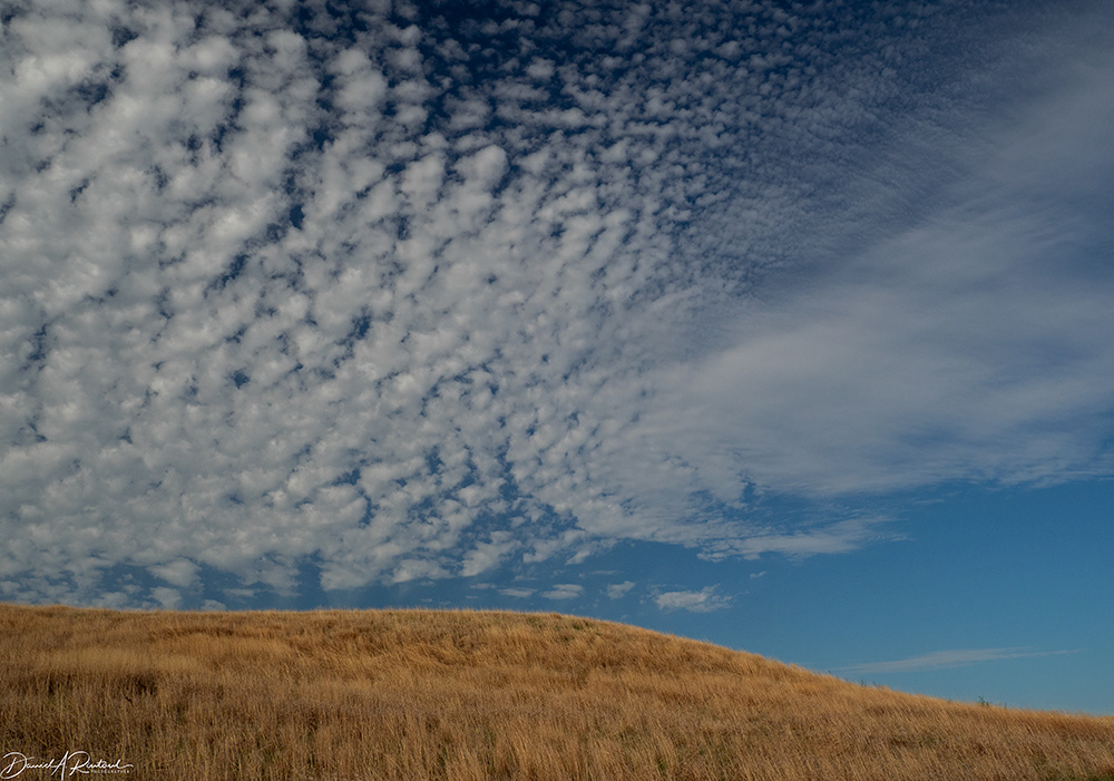 Grass and sky 2 - Kansas