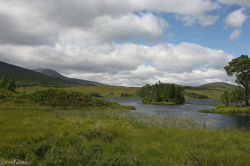 Scotland - Highland stream