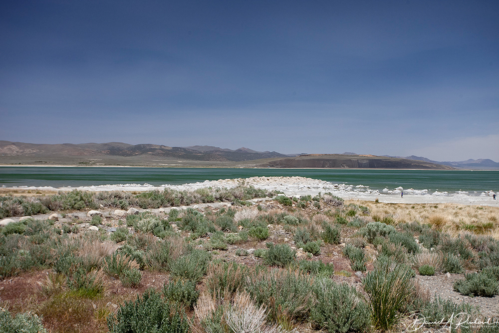 California - Mono Lake