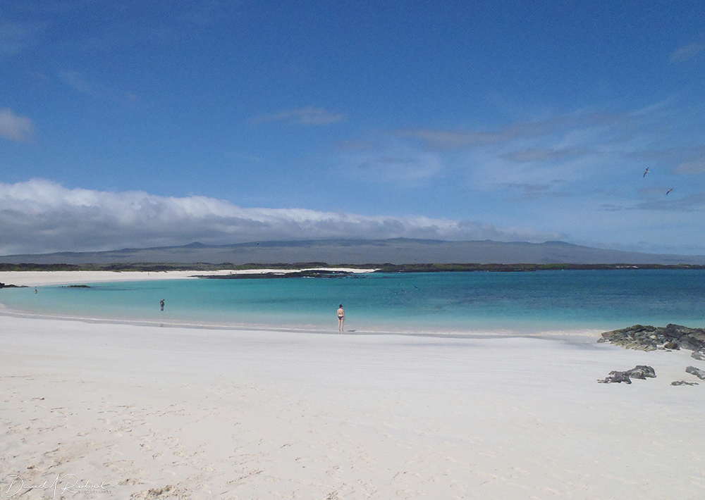 Galápagos - Cerro Brujo beach