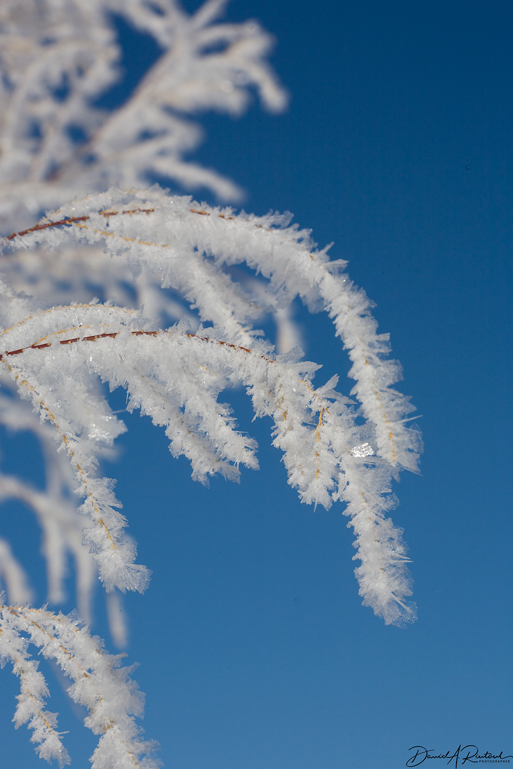Chaco Canyon - Hoarfrost