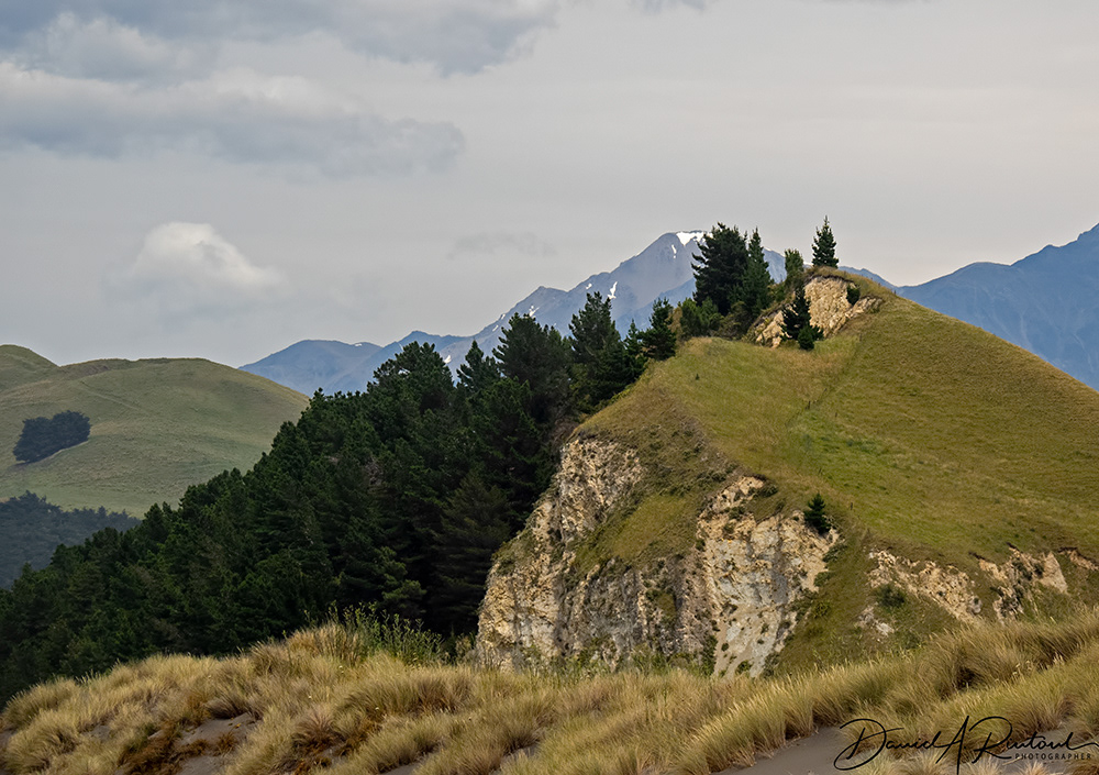 Southern Alps from the east coast