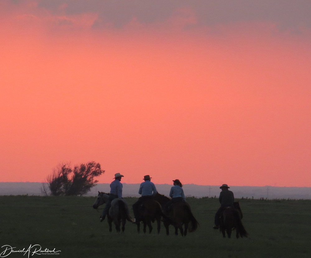 Kansas - After the cattle drive