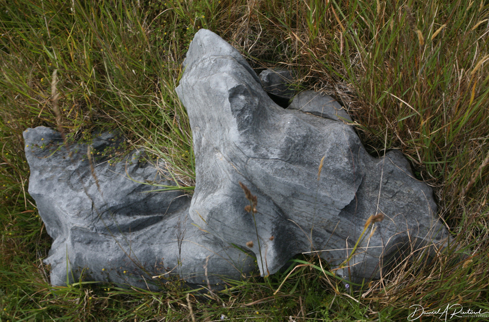 Marble boulder, Takaka Hill