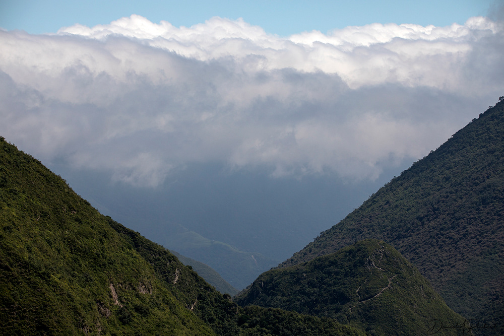 The Páramo, western Andes