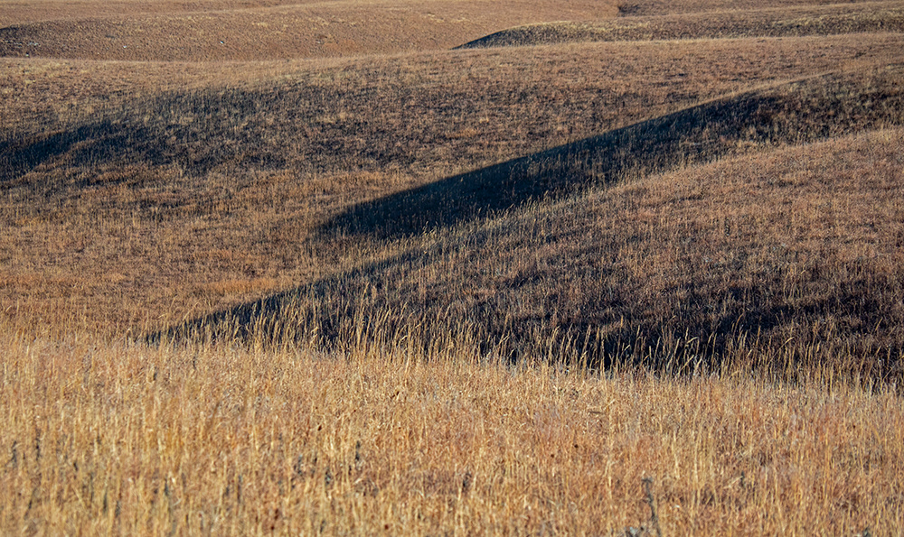 Kansas - Fall Grass textures 2