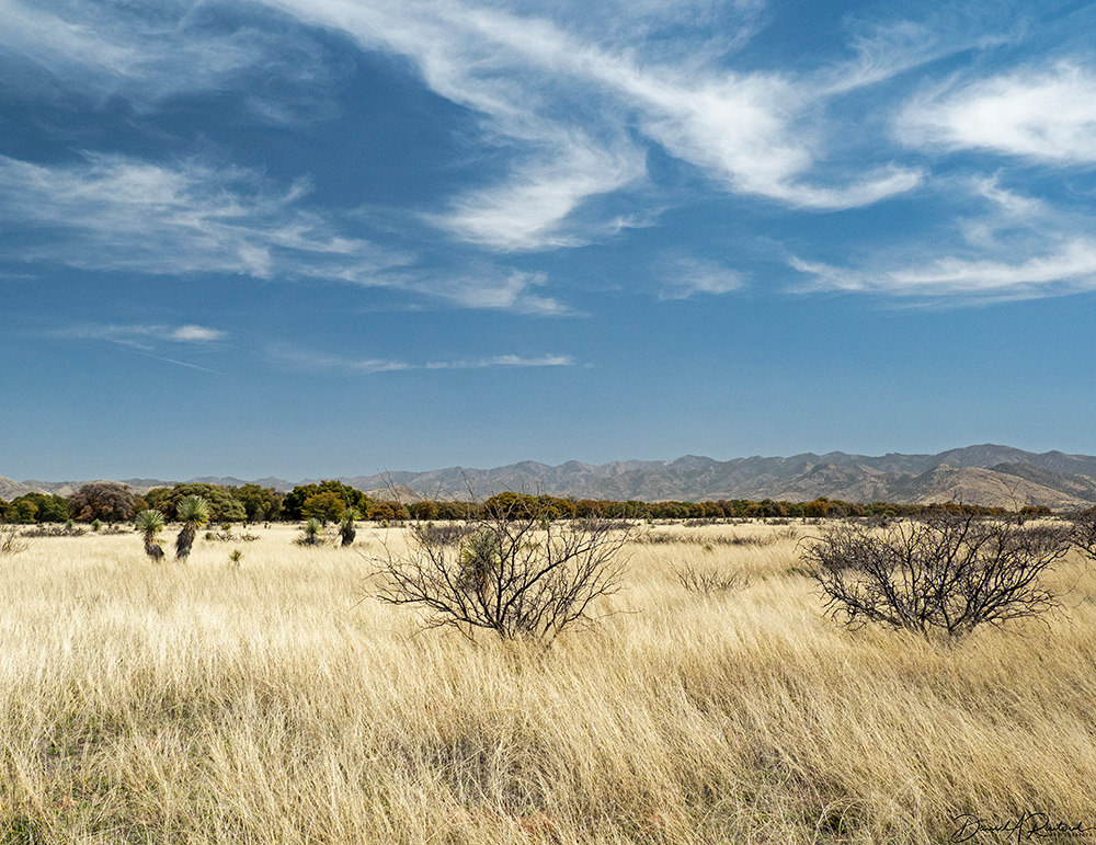 Arizona - San Rafael Grasslands