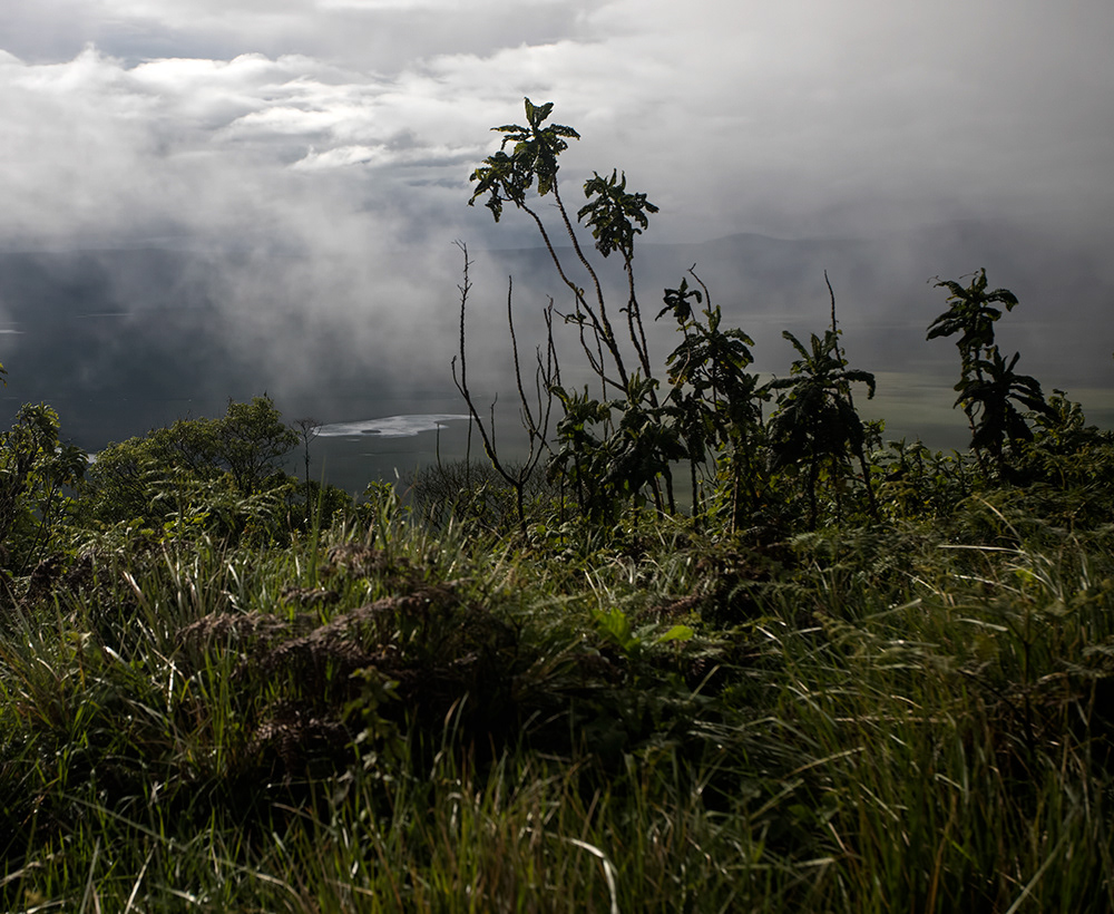 Tanzania - Rim of the crater