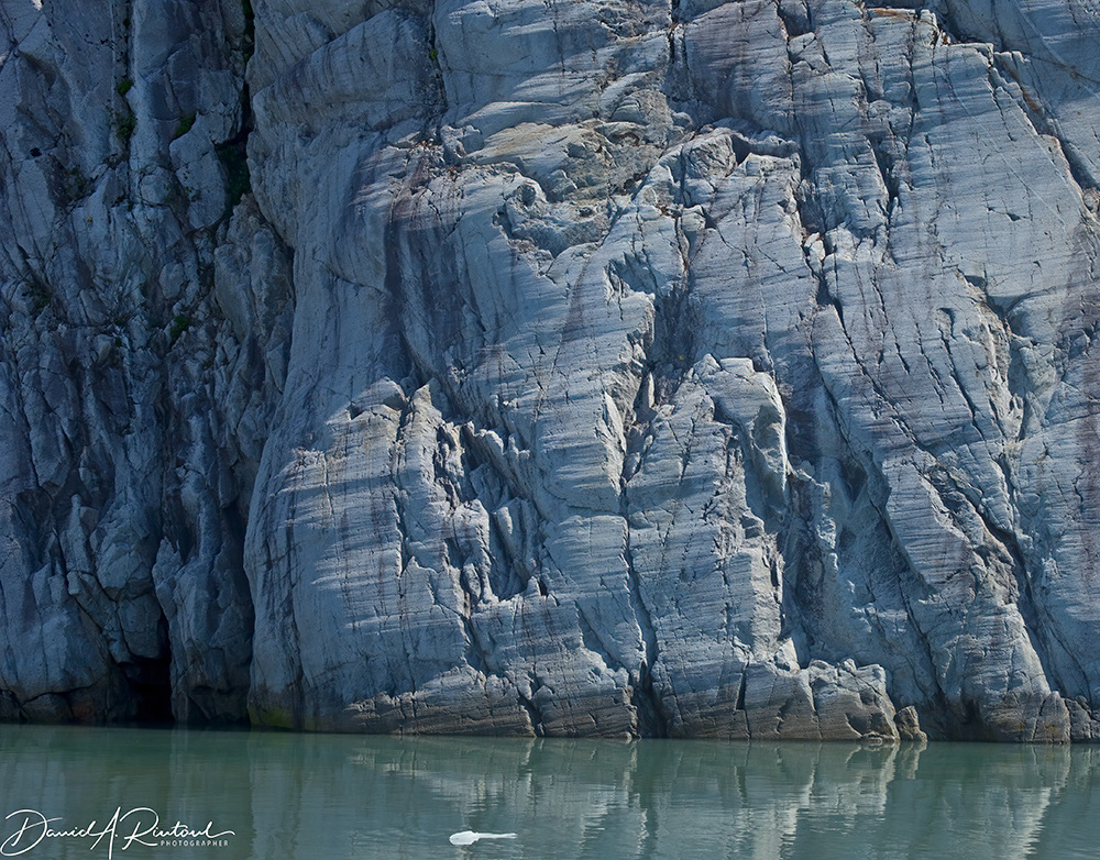 Alaska - Glacier-scoured rocks in Resurrection Bay