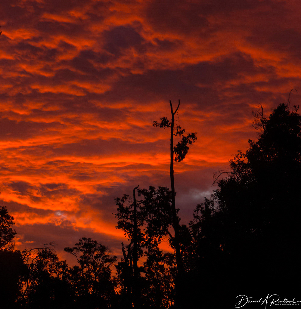 Sunset in Rowi territory