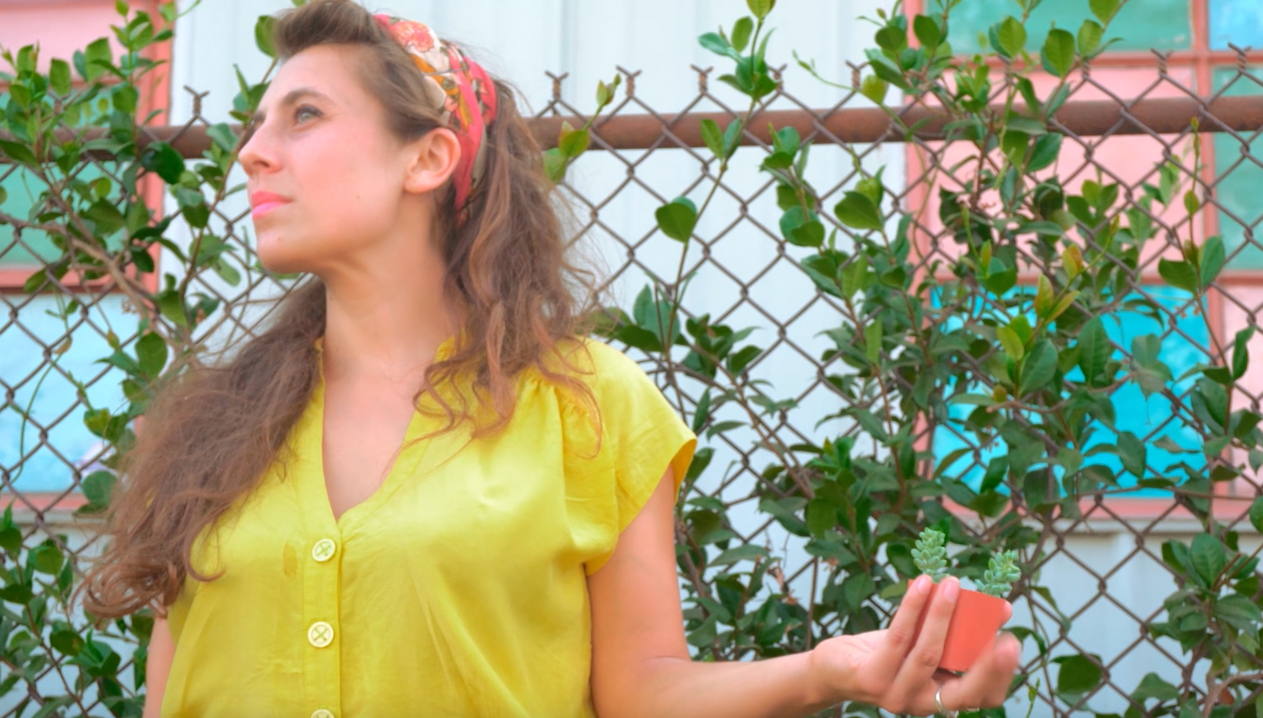 Lauren Tannenbaum Young