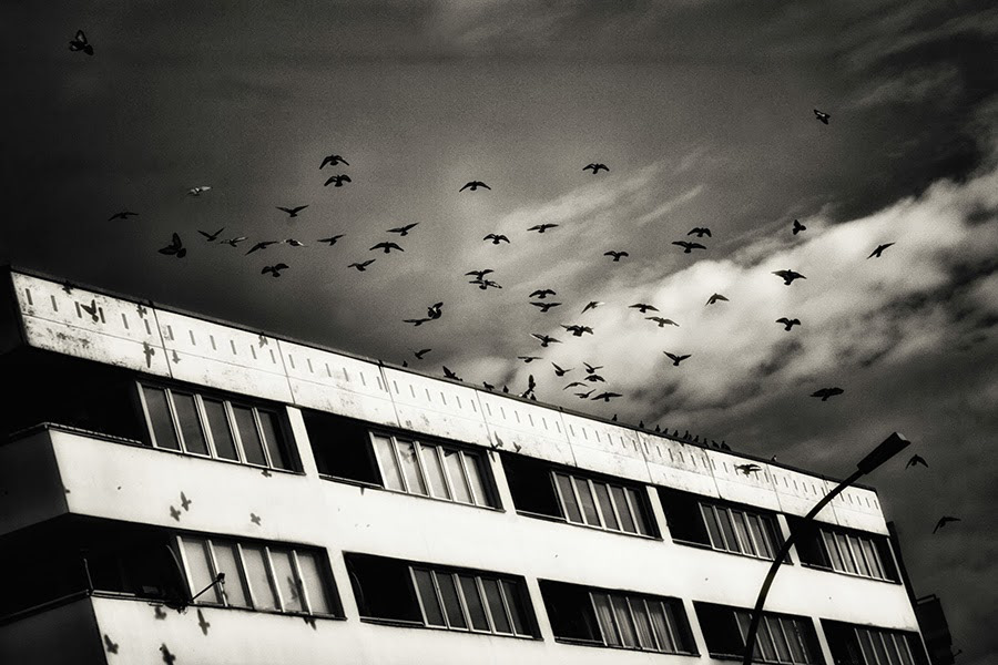 © Emiliano Jatosti
