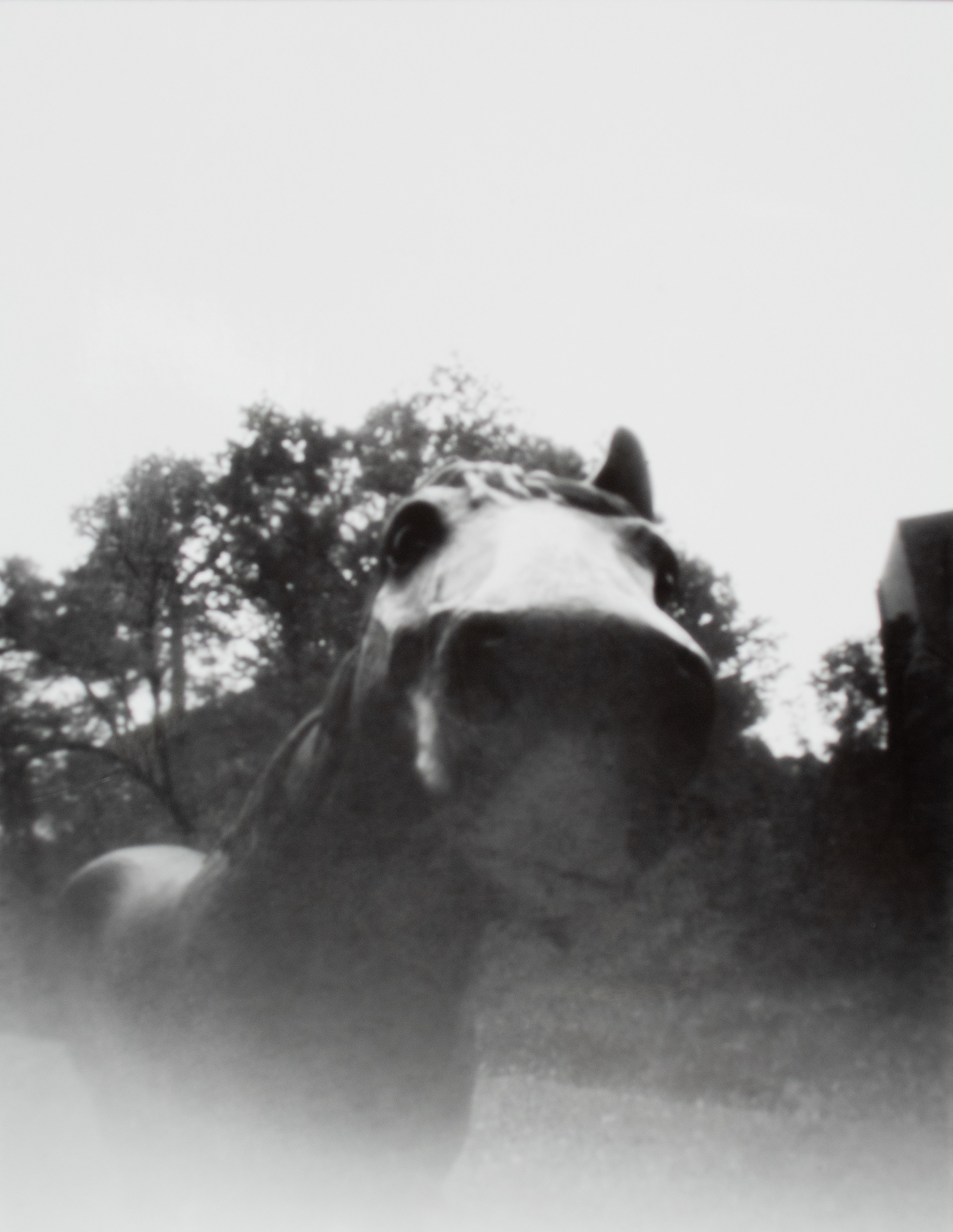 Pinhole - Positive