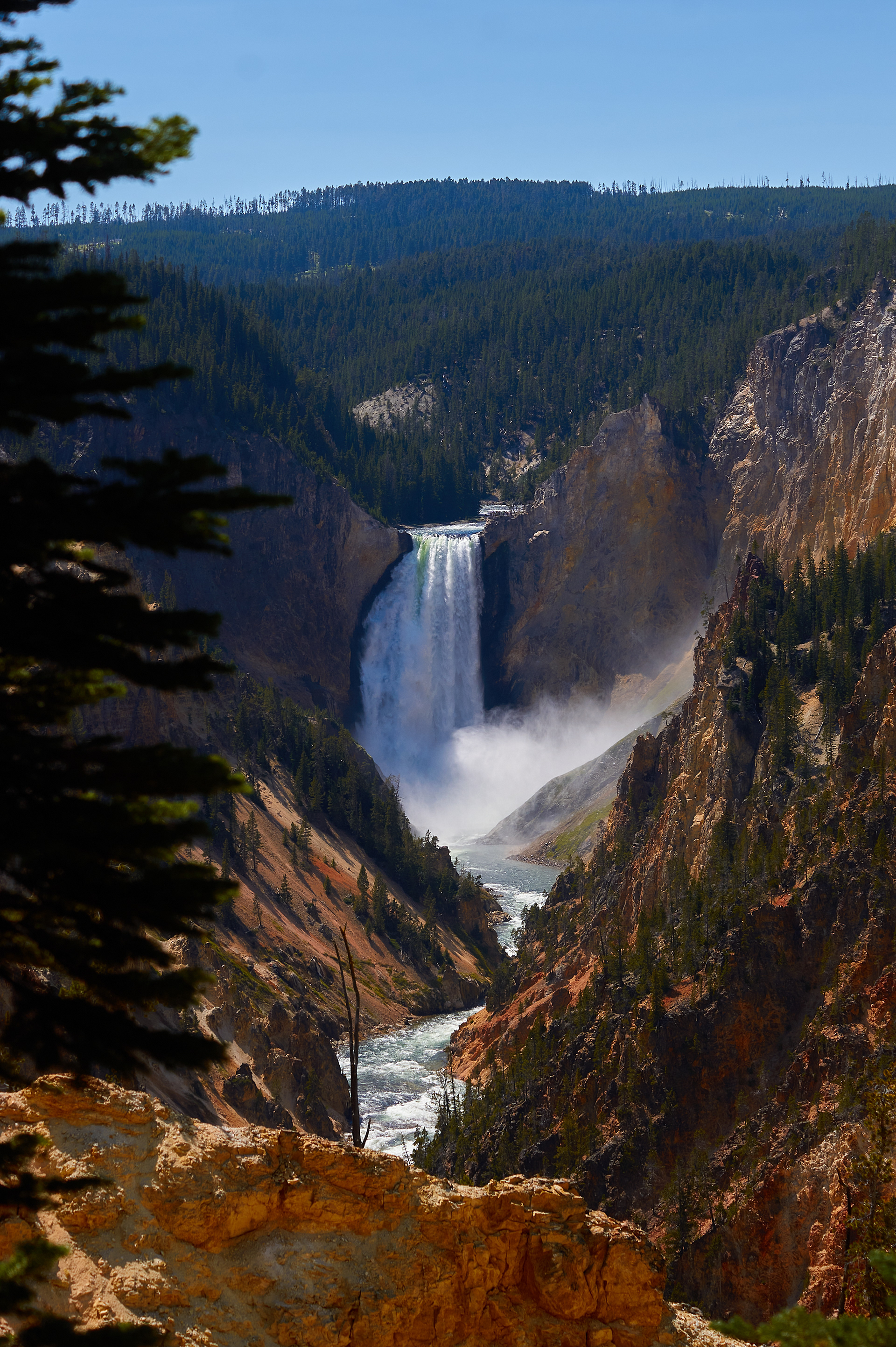 Yellowstone Falls