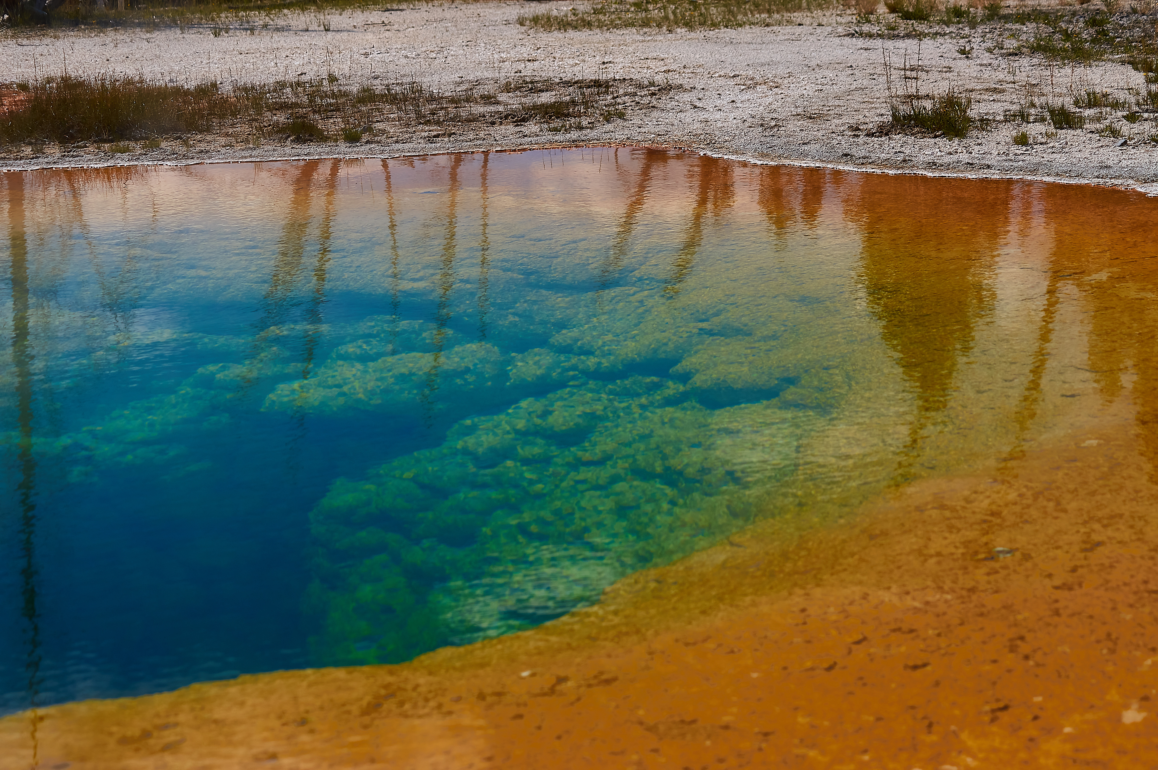 Geysir Yellowstone Nationalpark