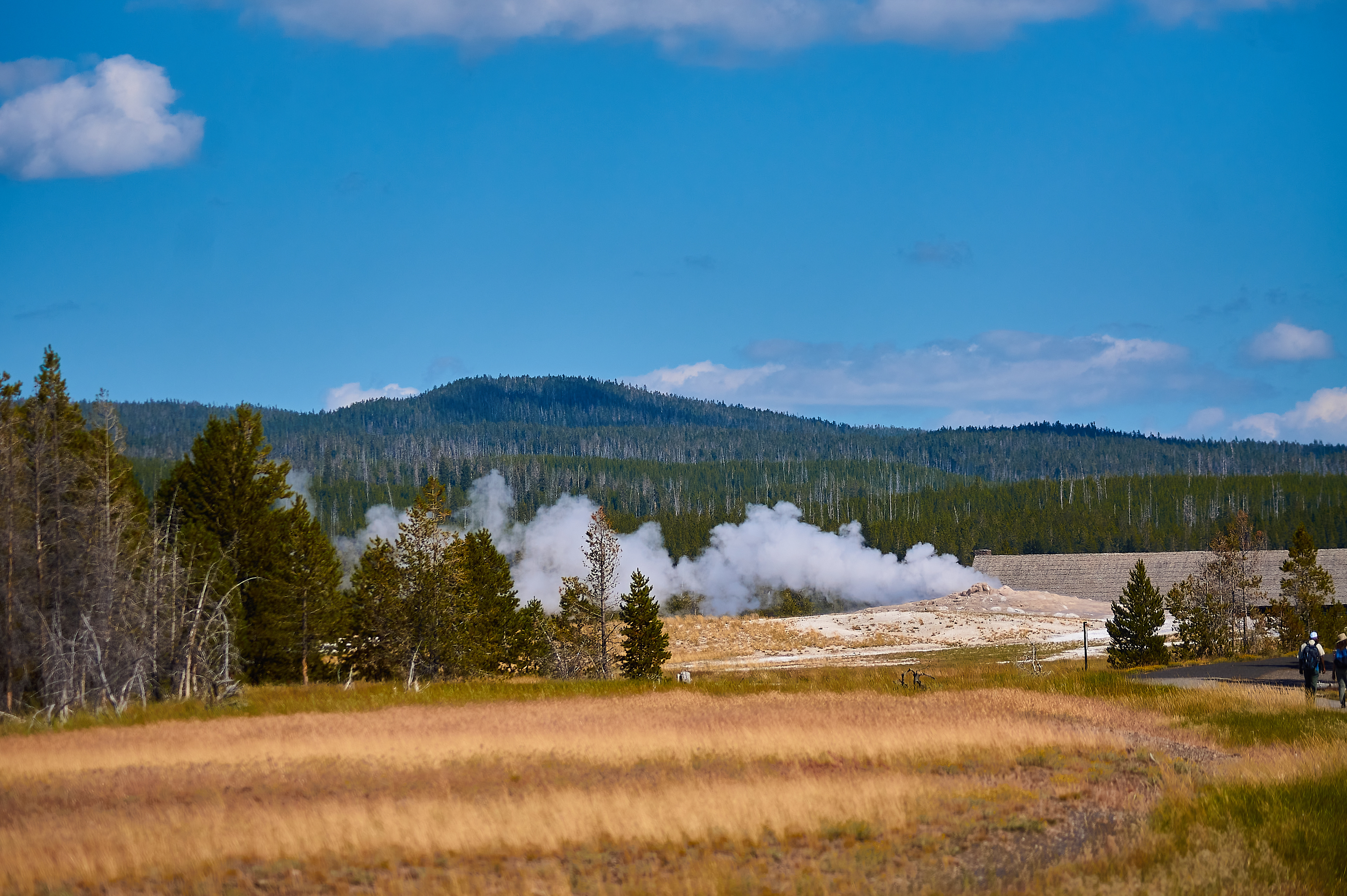 Geysir Yellowstone Nationalpark