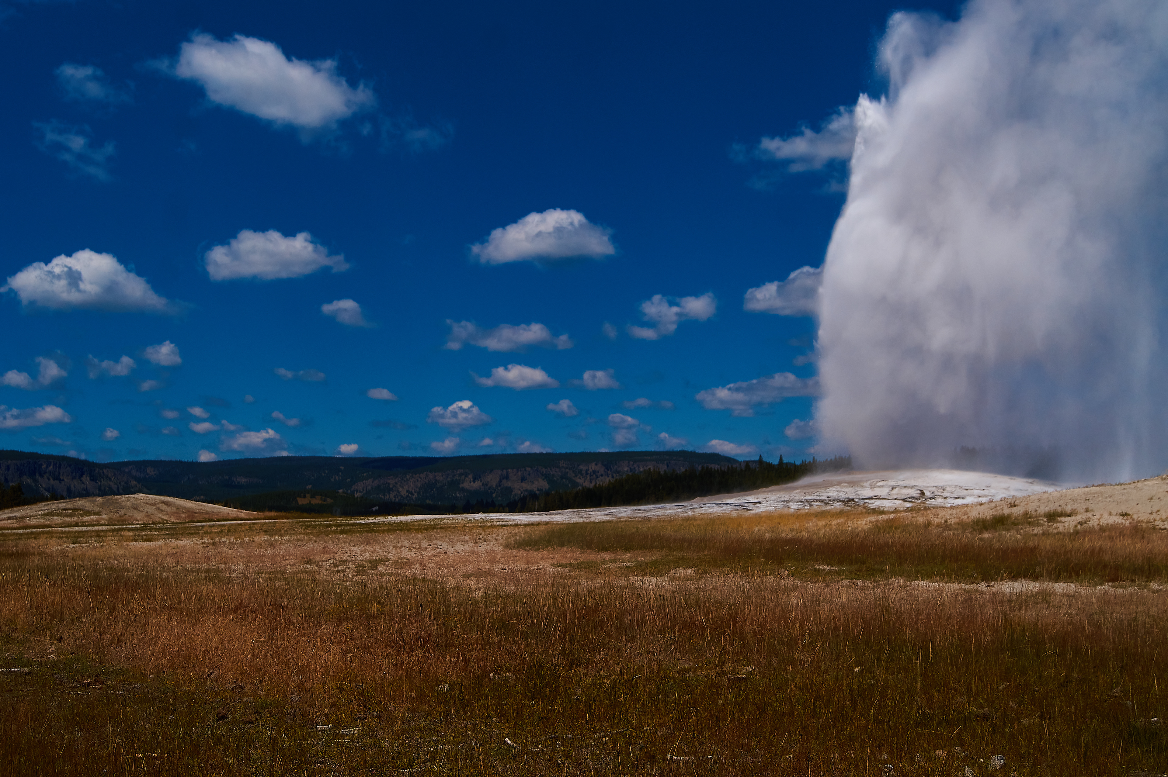 Old Faithfull Yellowstone Nationalpark