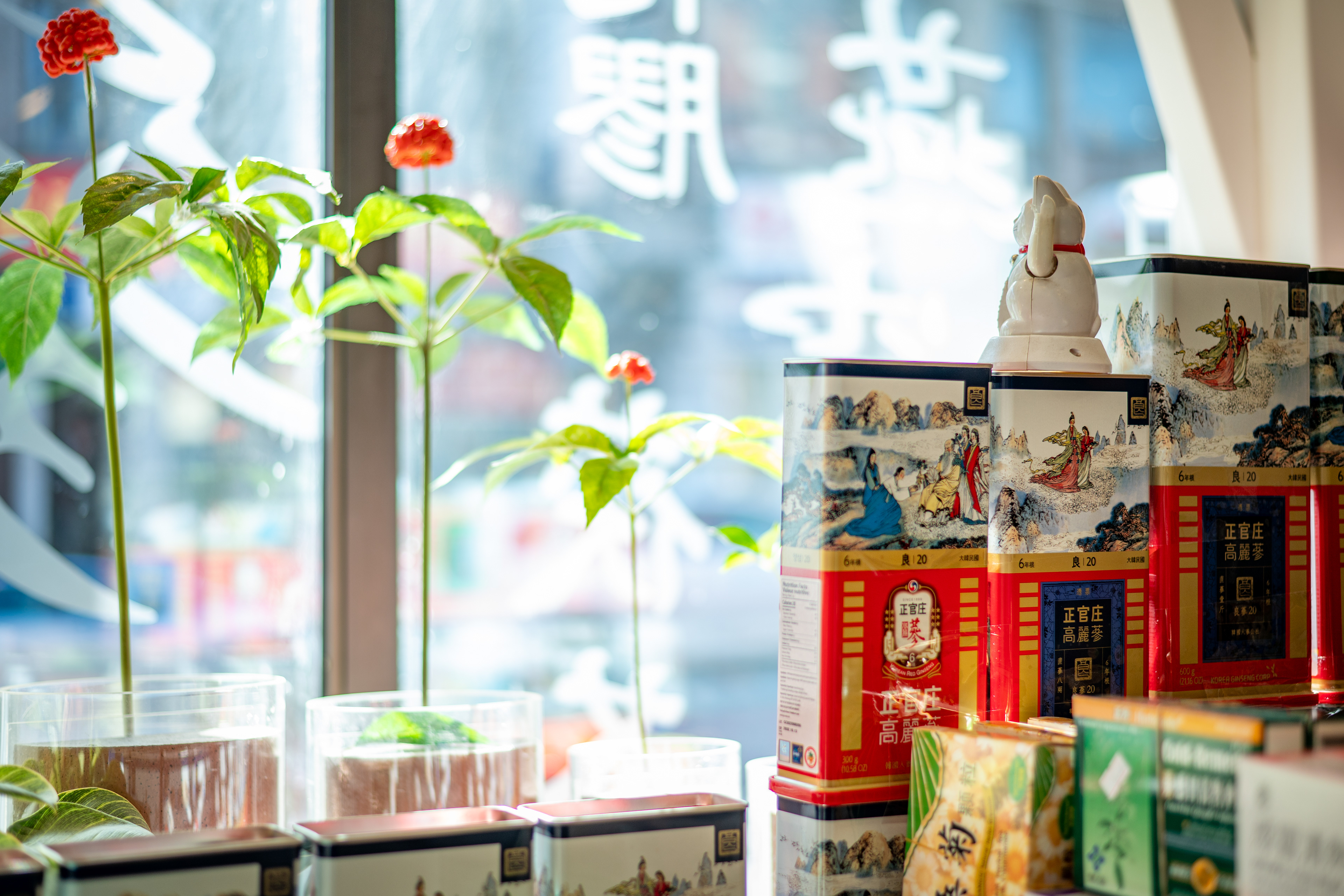 Maneki-neko (chat porte-bonheur japonais) surveille la devanture du magasin.  Maneki-neko (Japanese waving lucky cat) oversees storefront  招財貓守護店面
