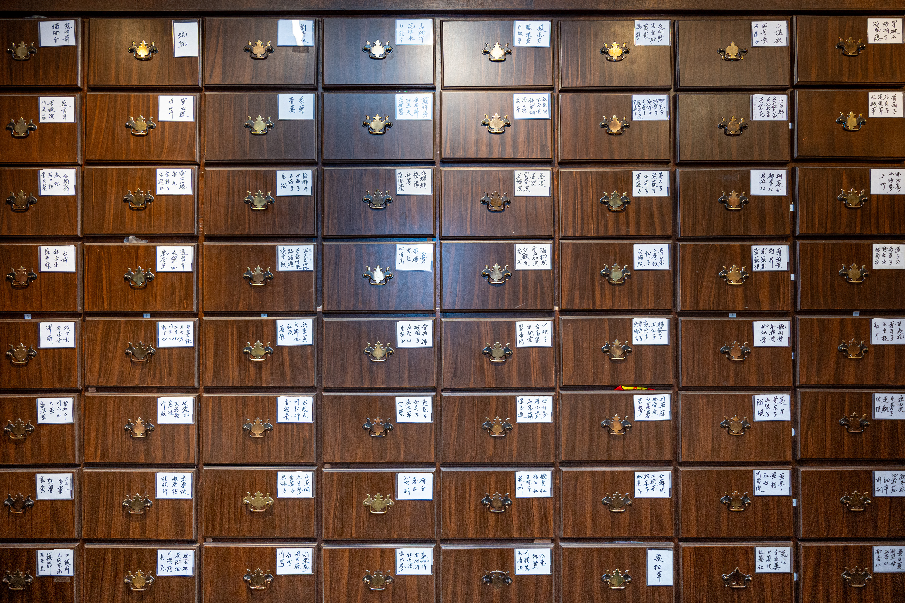 Mur de tiroirs contenant des herbes traditionnelles  Wall of drawers storing traditional herbs  儲存傳統中草藥的抽屜牆