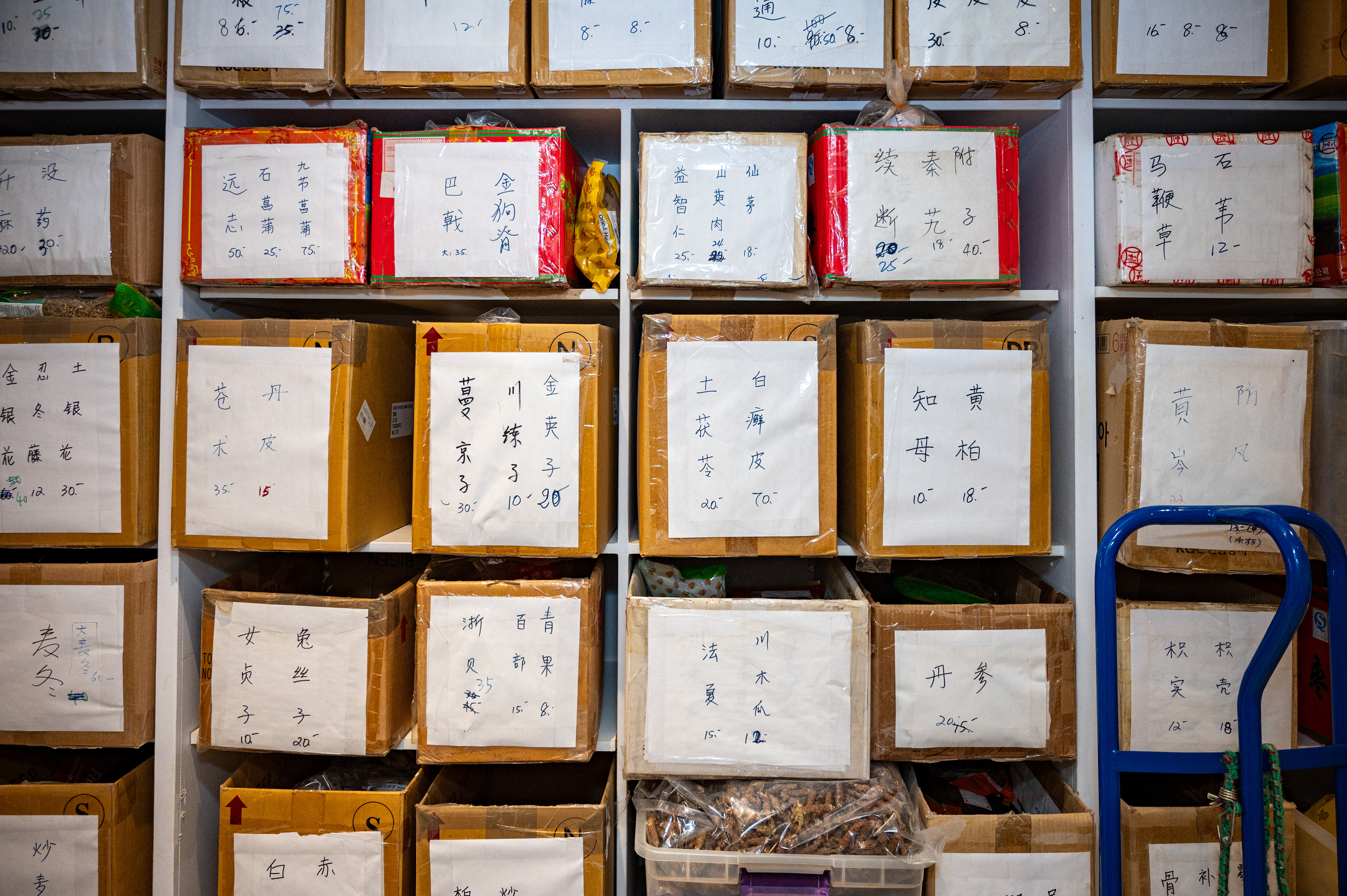 Herbes stockées dans l'arrière-boutique.  Herbs stored in backroom  倉庫裡的草藥