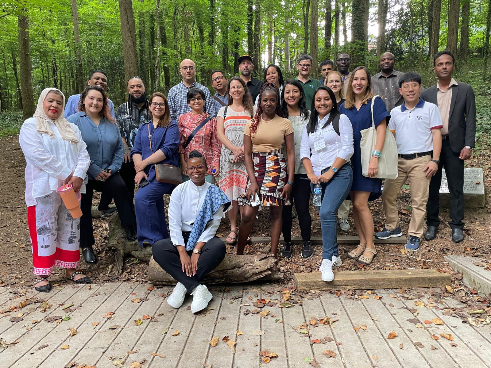 IVLP