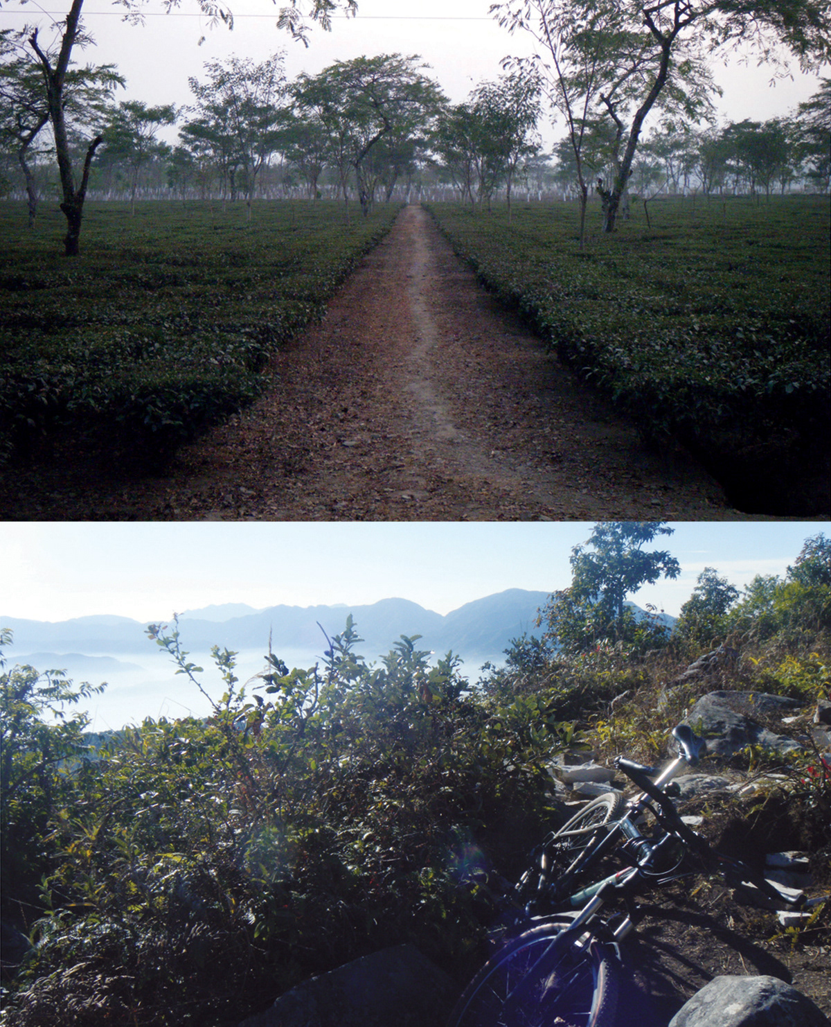 I remember being lost for a day and a half. running low on food. following mt. lion tracks to find water. summiting a mountain that was not on the map... all because I took a wrong turn at the last fork in the trail and was determined to find my way through the middle of nowhere without backtracking. One of my favorite things to do in Kathmandu was to point at a peak or stupa from the roof of my home and set off to find a way to make it to that place with my bicycle. Some days I would find my way through the 3rd world congestion and clouds to my destination. Most days I would be drenched with sweat and mud with an extreme hunger and thankfulness when I finally found my route home through a game of charades at the not so local tea shop. Forward momentum is no substitute for good directions.