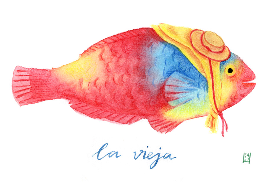 la vieja romera
