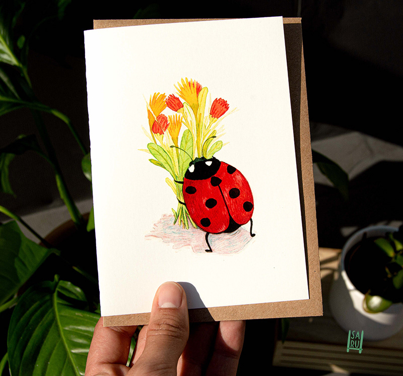 Mrs. Ladybug