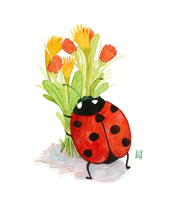 Mrs. Ladybug