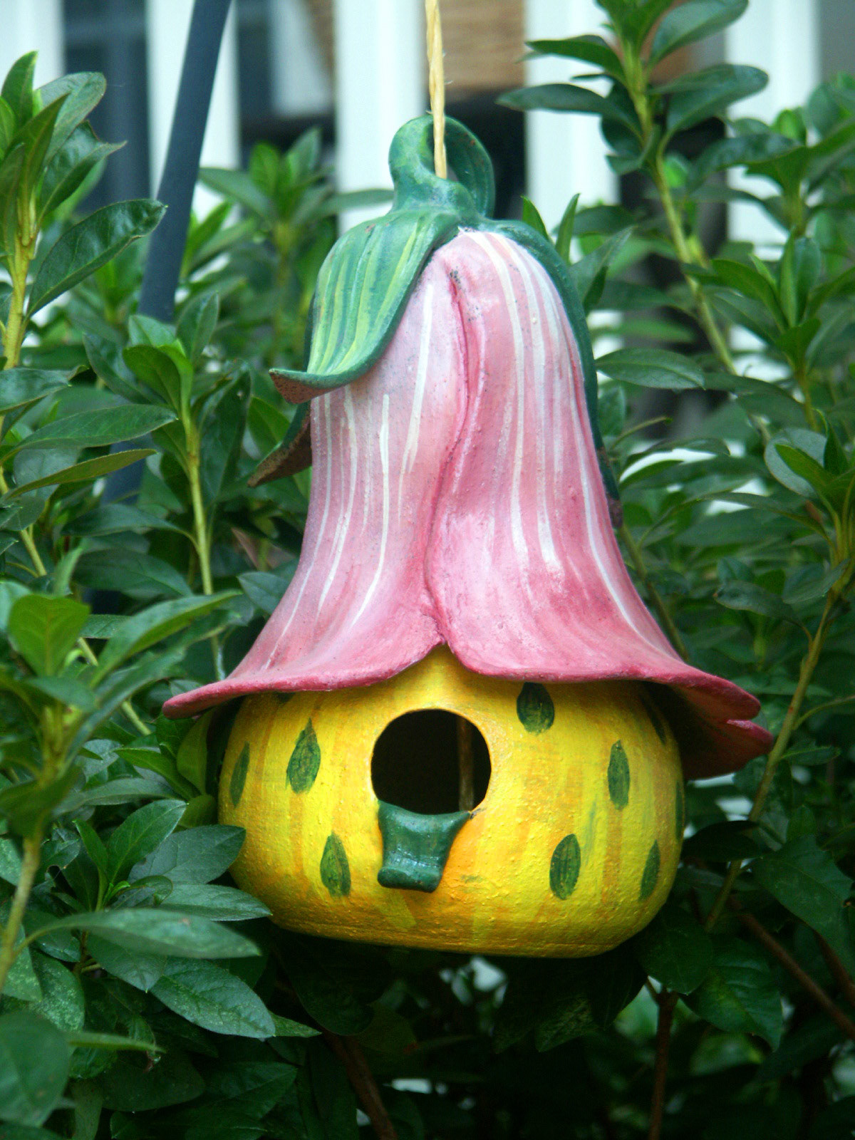 Hand Sculpted Bird House