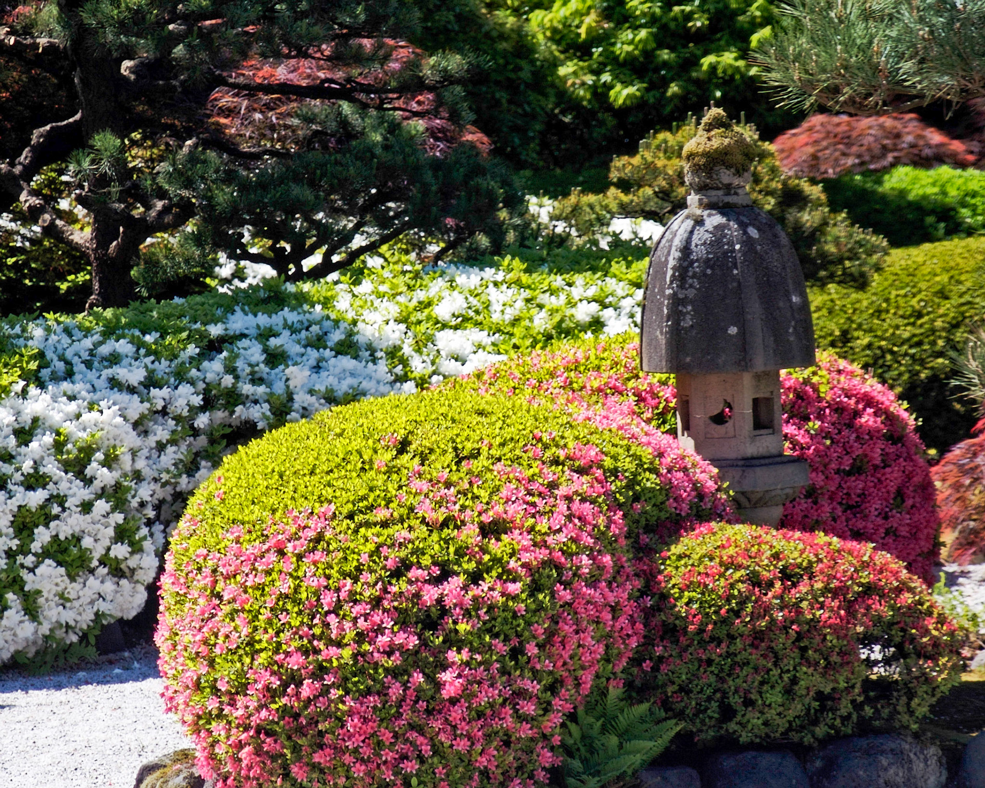 Japanese Gardens Portland, Or.