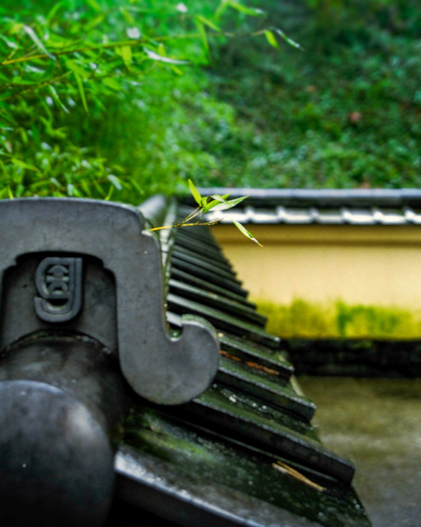 Japanese Gardens Portland, Or.