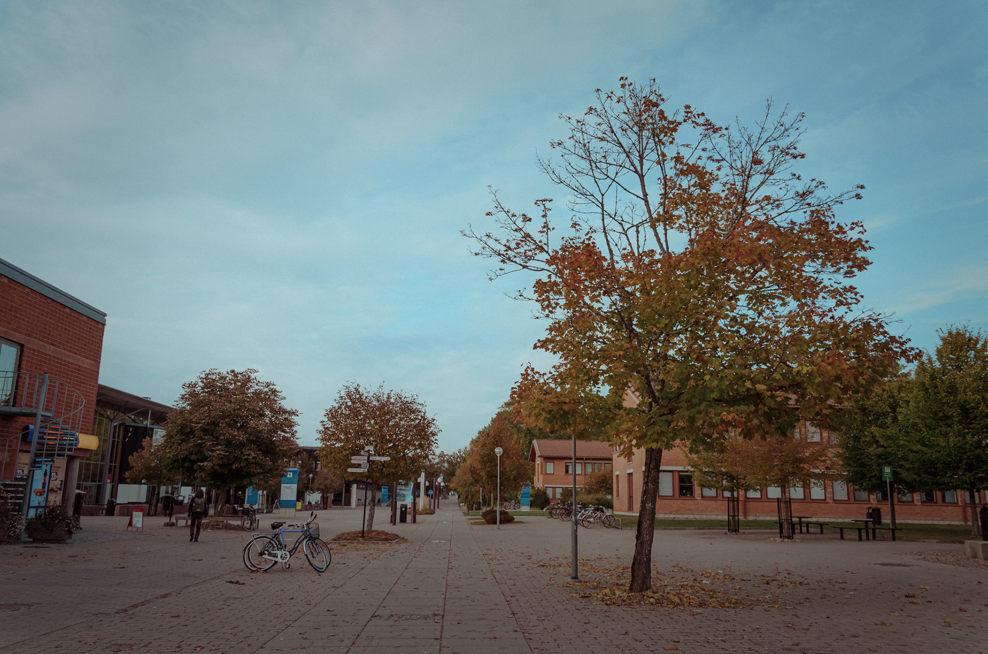 Campus Valla, Linköping University
